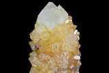 Sunshine Cactus Quartz Crystal - South Africa #80198-1